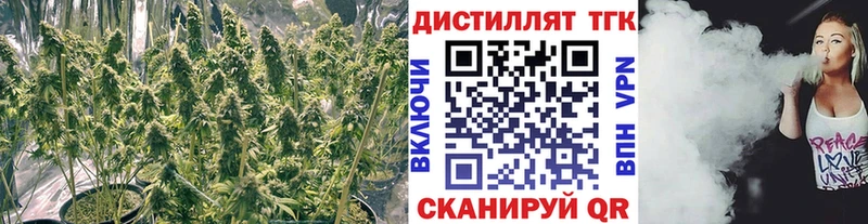 ТГК вейп  Бирюч 