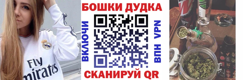 Бошки Шишки семена  Бирюч 